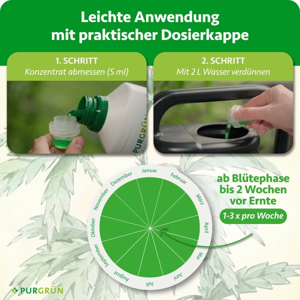 Infografik zur Anwendung von Flüssigdünger: 5 Milliliter Konzentrat in 2 Liter Wasser mischen, Anwendung ab der Blütephase und Düngekalender.