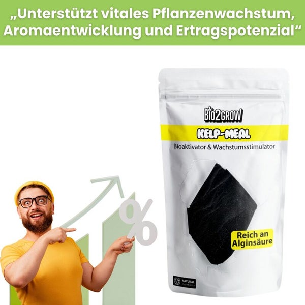 Bio2Grow Kelp Meal Bioaktivator und Wachstumsstimulator zur Förderung des Pflanzenwachstums