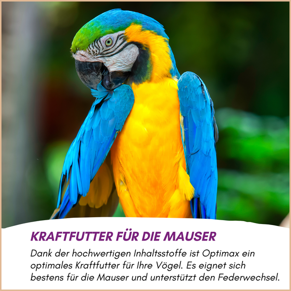 Ein Ara mit blauem und gelbem Gefieder neben dem Text Kraftfutter für die Mauser und einer Erläuterung zum Ergänzungsfuttermittel für Vögel.