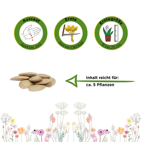 Aussaat von April bis Juni, Ernte von Juni bis Oktober, Erntegröße 15 bis 25 Zentimeter, Inhalt ausreichend für circa 5 Pflanzen.