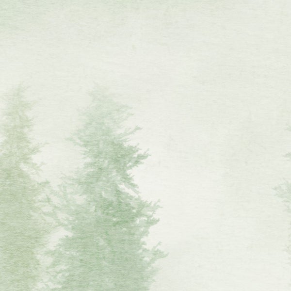 Illustration von verschwommenen Nadelbäumen