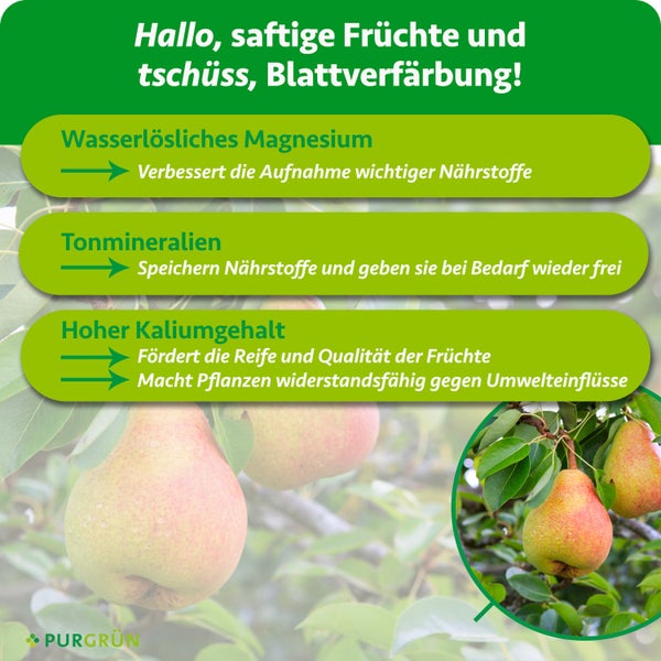 Infografik zu Purgrün Obstbaumdünger mit Magnesium, Tonmineralien und Kalium für saftige Früchte und gesunde Blätter.