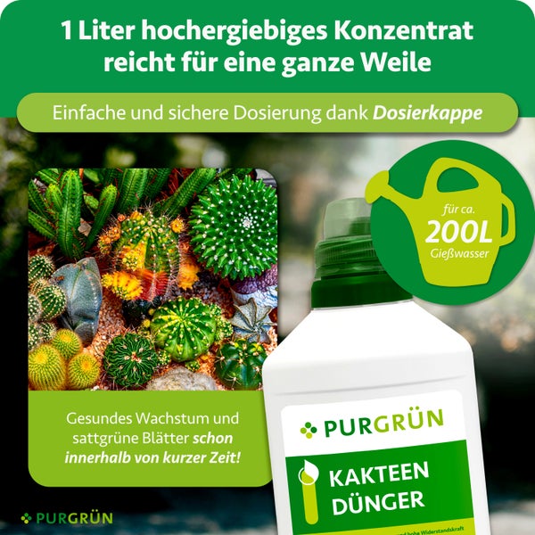 Purgrün Kakteendünger Konzentrat 1 Liter für circa 200 Liter Gießwasser, mit Dosierkappe, für gesundes Wachstum von Kakteen. Purgrün Logo.
