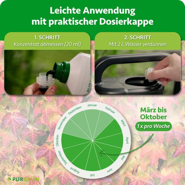 Teppich mit Fransen und Streifenmuster