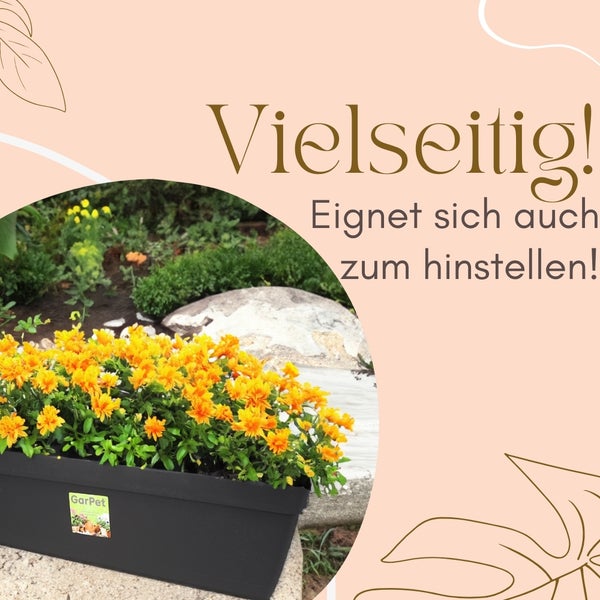 Schwarzer Blumenkasten mit gelben Blumen