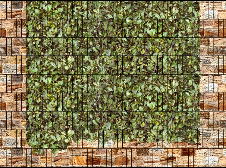 Blick auf eine Gabionenwand mit Pflanzen und Steinen.