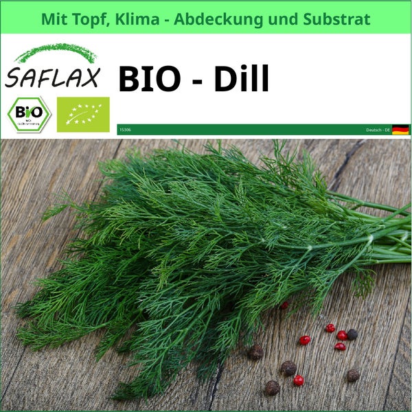 Saflax Bio Dill mit Topf, Klimaabdeckung und Substrat