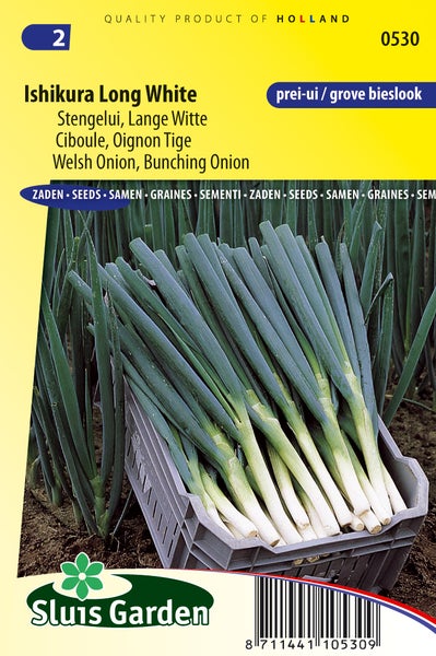 Ishikura Long White Lauchzwiebel-Samenpackung