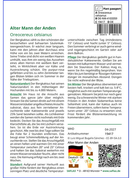 SAFLAX Anzucht Set - Alter Mann der Anden - Oreocereus celsianus - 40 Samen - Mit Mini-Gewächshaus, Anzuchtsubstrat und 2 Töpfen