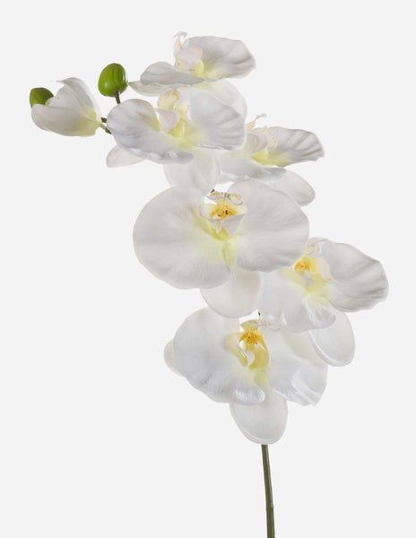 Künstliche Orchidee Phalaenopsis weiß, Detailansicht der Blütenköpfe