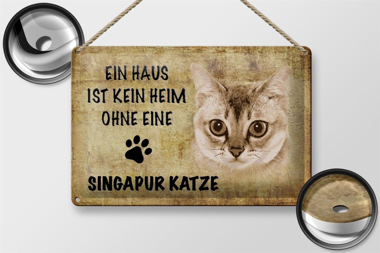 Blechschild Spruch 30x20cm Singapur Katze ohne kein Heim