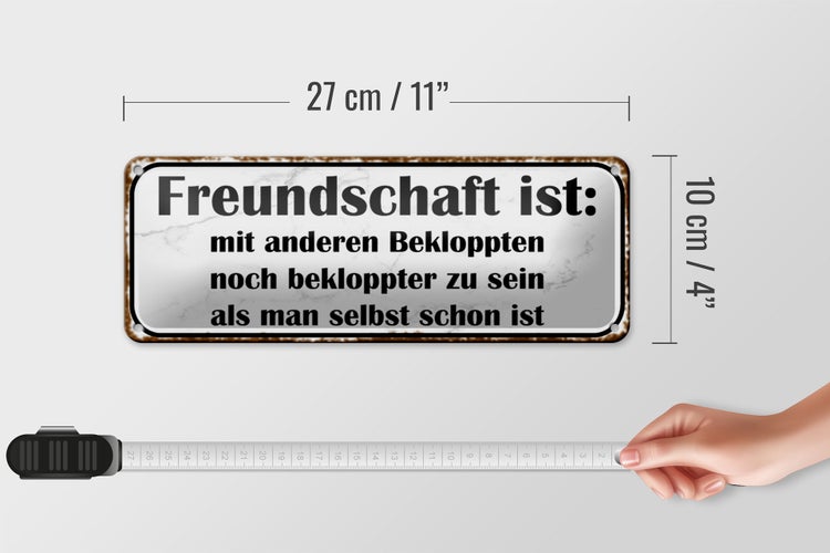 Blechschild Spruch 27x10cm Freundschaft ist noch bekloppter Dekoration