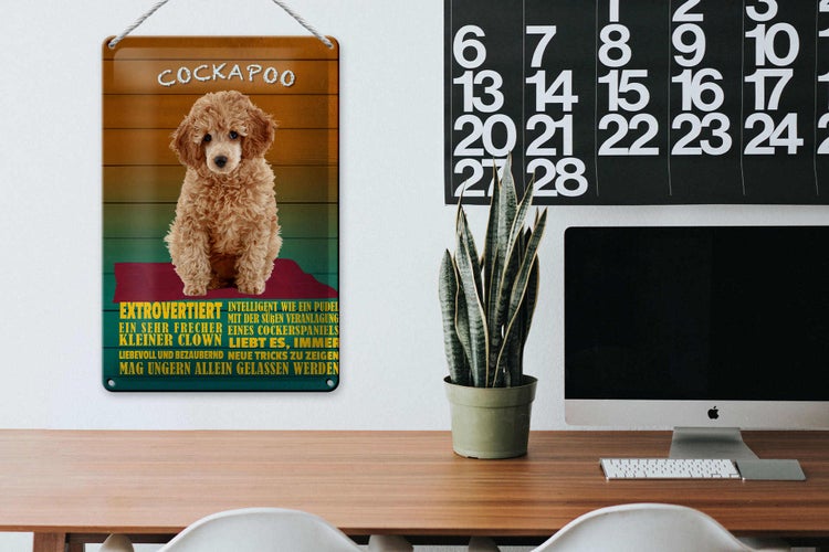 Blechschild Spruch 20x30cm Cockapoo Hund kleiner Clown