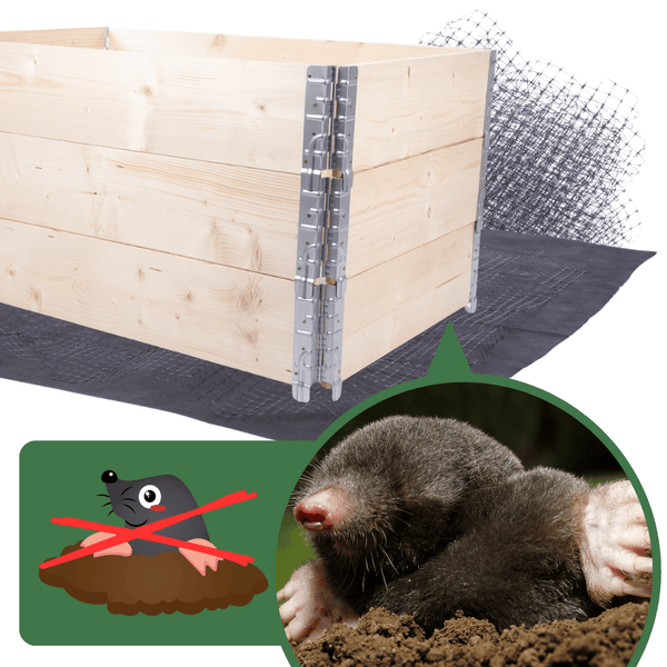 Hochbeetkisten GrowBox HxBxT 20x120x100 cm 1 Ebene Holz Braun