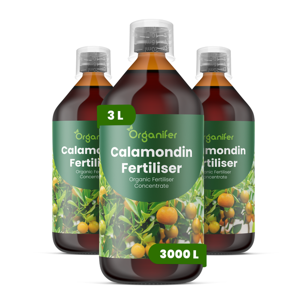 Organifer Calamondin Dünger, organisches Düngerkonzentrat, 3 Liter, ergibt 3000 Liter.