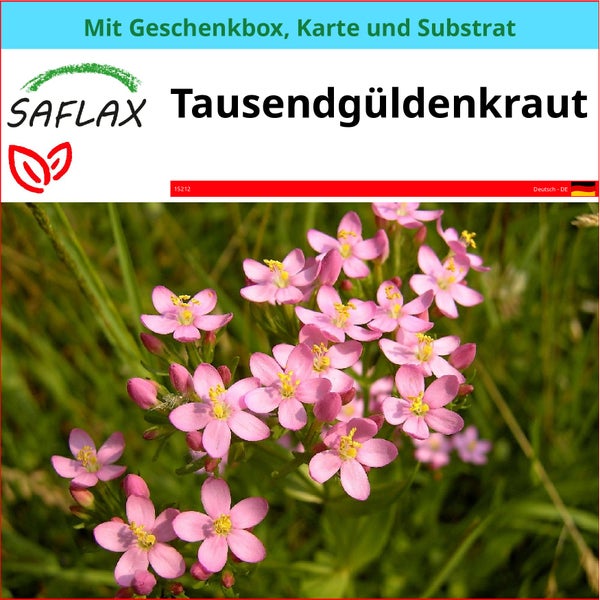 SAFLAX Geschenk Set - Tausendgüldenkraut - Centaurium erythraea - 250 Samen - Mit Geschenkbox, Versandaufkleber, Geschenkkarte und Anzuchtsubstrat