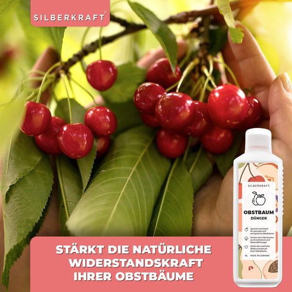 SILBERKRAFT Obstbaumdünger – Für Apfel & Kirsche – NPK Flüssigdünger – 1 Liter