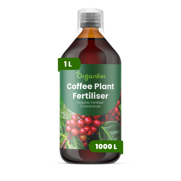 Organifer Bio-Kaffeepflanzendünger Konzentrat, 1 Liter Flasche für 1000 Liter Düngemittel.