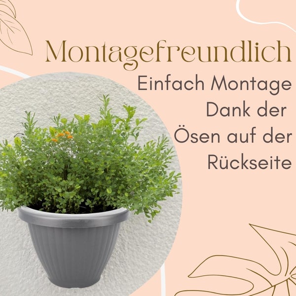 Wandblumentopf mit Pflanze und dem Hinweis einfache Montage dank der Ösen auf der Rückseite