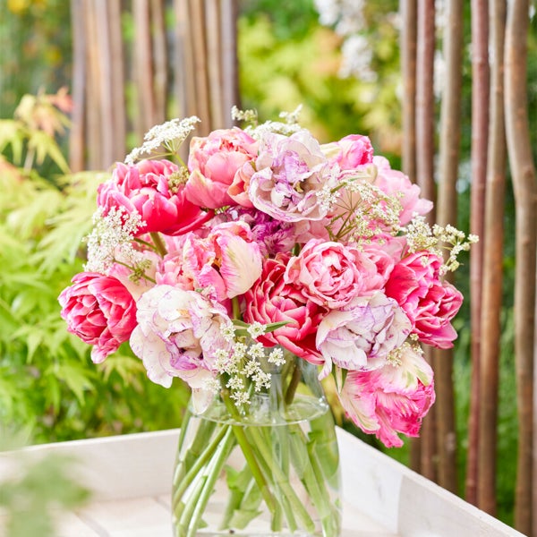 Bloomique - Mischung aus 20 - Tulipa Double Pink - Tulpenzwiebeln - gefüllte Blume - Blumenzwiebeln - Frühlingsblüte - mehrjährige Pflanzen - wird 30-35 cm groß