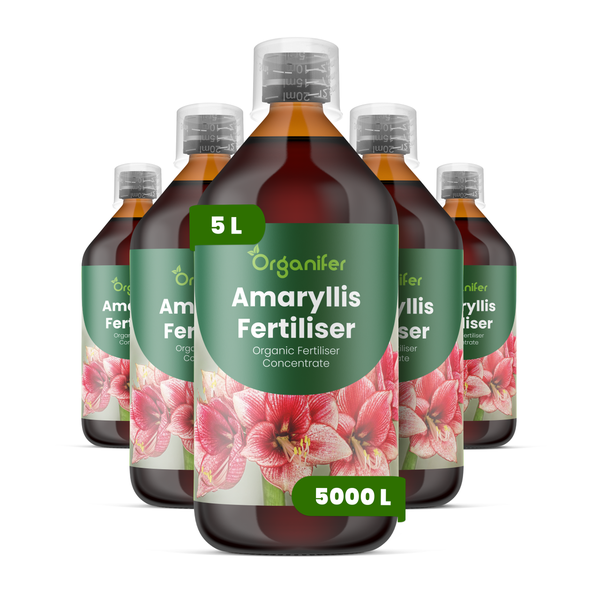 Organifer Amaryllis-Dünger, organisches Flüssigdüngerkonzentrat, Set mit 5 Flaschen.