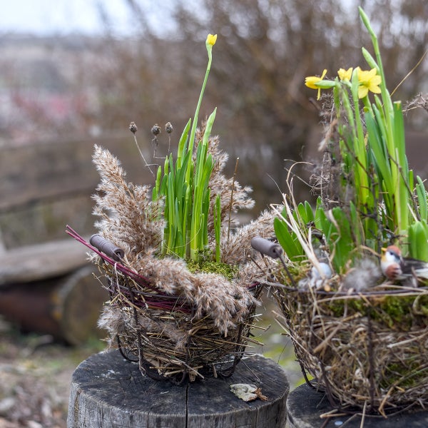 Zwei Osternester mit Narzissen, Gras und dekorativen Elementen auf Baumstümpfen