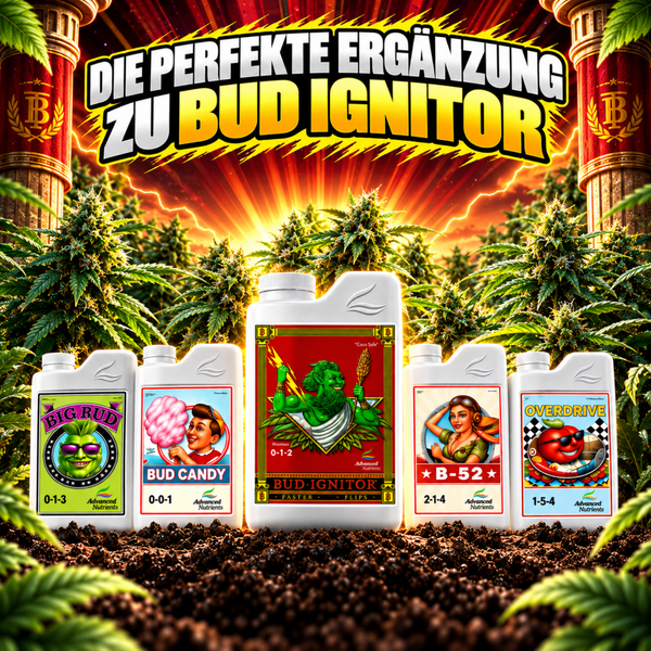 Flaschen mit Advanced Nutrients Pflanzendünger für die Blütephase inklusive Bud Ignitor, Big Bud, Bud Candy, B-52 und Overdrive für Pflanzen.