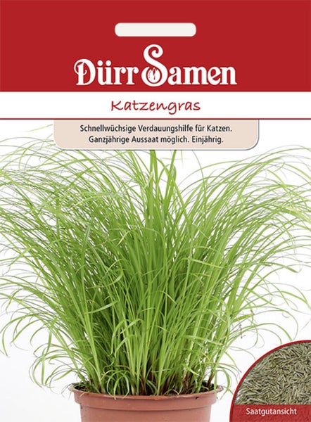 Dürr Samen Logo, Samentüte Katzengras, schnellwüchsige Verdauungshilfe für Katzen, einjährig, Aussaat ganzjährig möglich, mit Saatgutansicht.