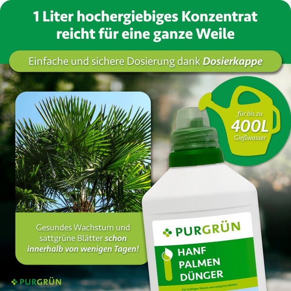Purgrün Hanf Palmen Dünger als hocheffizientes Konzentrat mit Dosierkappe für bis zu 400 Liter Gießwasser für kräftiges Wachstum von Palmen