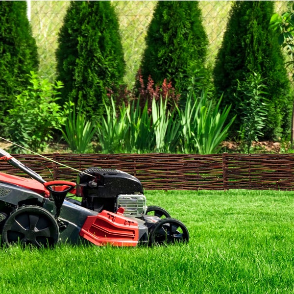 Rasenmäher im Einsatz auf einer grünen Rasenfläche vor einem Gartenzaun