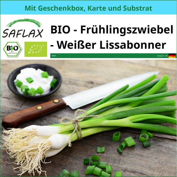 SAFLAX Geschenk Set - BIO - Frühlingszwiebel - Weißer Lissabonner - Allium cepa - 150 Samen - Mit Geschenkbox, Versandaufkleber, Geschenkkarte und Anzuchtsubstrat