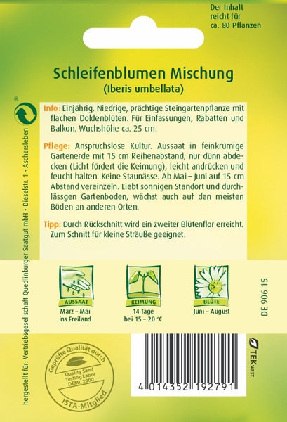 Rückseite der Samentüte Quedlinburger Saatgut Schleifenblumen Mischung Iberis umbellata für circa 80 Pflanzen mit Anbauinformationen.