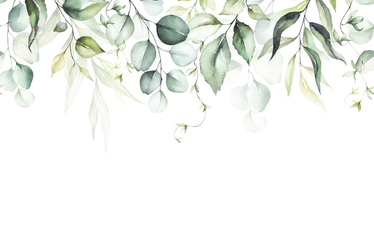 Wandtapete mit botanischem Muster aus Aquarell Eukalyptusblättern und filigranen Zweigen auf weißem Hintergrund.