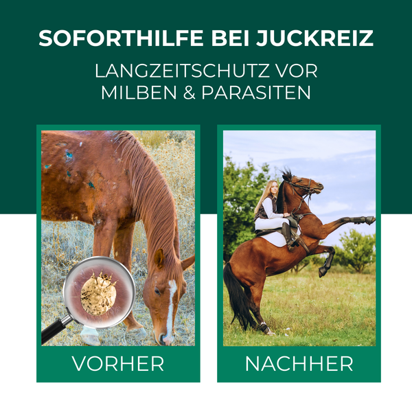Silberkraft Milbenspray Pferde 500 ml, Effektiver Milbenschutz & Parasitenabwehr, Soforthilfe bei Juckreiz, Langzeitschutz gegen Milben, Flöhe & Läuse, wirksame Formel zur Insektenabwehr