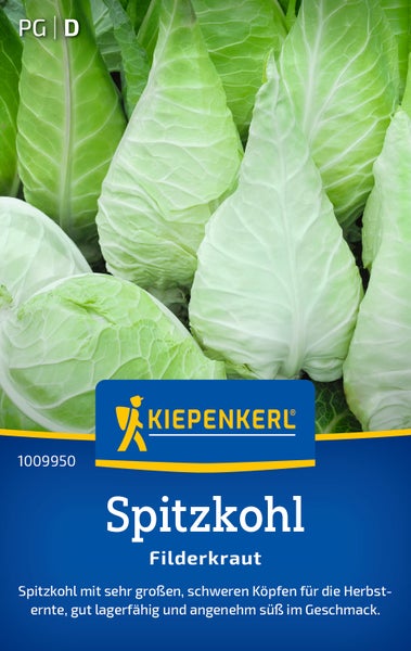 Saatgut für Spitzkohl Filderkraut von Kiepenkerl zur Herbsternte mit großen und lagerfähigen Köpfen.
