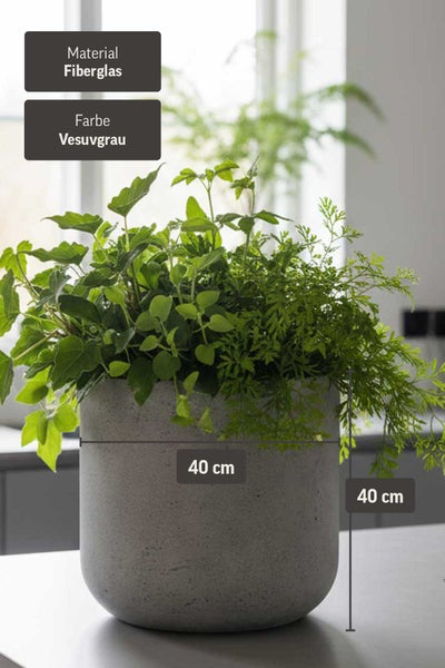 Pflanzkübel aus Fiberglas in Vesuvgrau, 40 Zentimeter breit und 40 Zentimeter hoch, bepflanzt in hellem Innenraum.