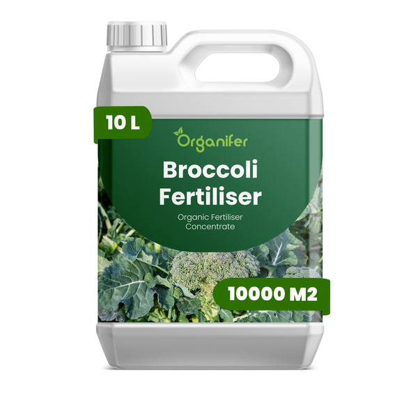 Organifer Logo. Organifer Broccoli-Dünger, organisches Düngerkonzentrat, 10 Liter für 10000 Quadratmeter.