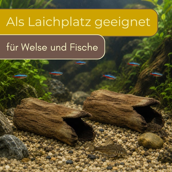 Aquarium-Dekoration Baumstammhöhlen auf Kies mit Fischen. Text: Als Laichplatz geeignet für Welse und Fische.