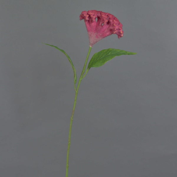 Künstliche Celosia Blume mit pinker Blüte und zwei grünen Blättern am Stiel.