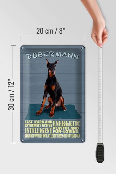 Blechschild Spruch 20x30cm Dobermann Hund fast learn and