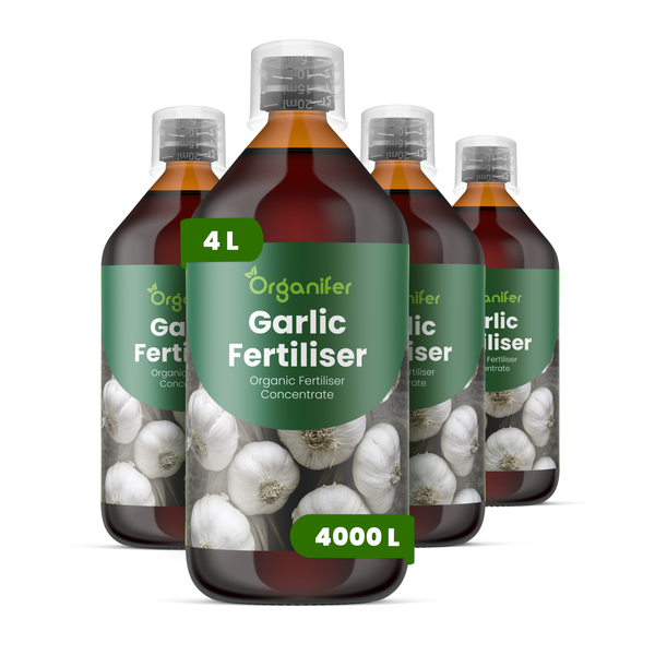 Vier Flaschen Organifer Garlic Fertiliser, organisches Düngerkonzentrat, insgesamt 4 Liter für circa 4000 Liter Düngerlösung.