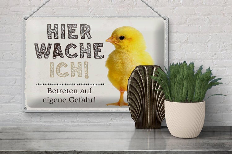 Blechschild Spruch 30x20cm Küken hier wache ich eigene Gefahr
