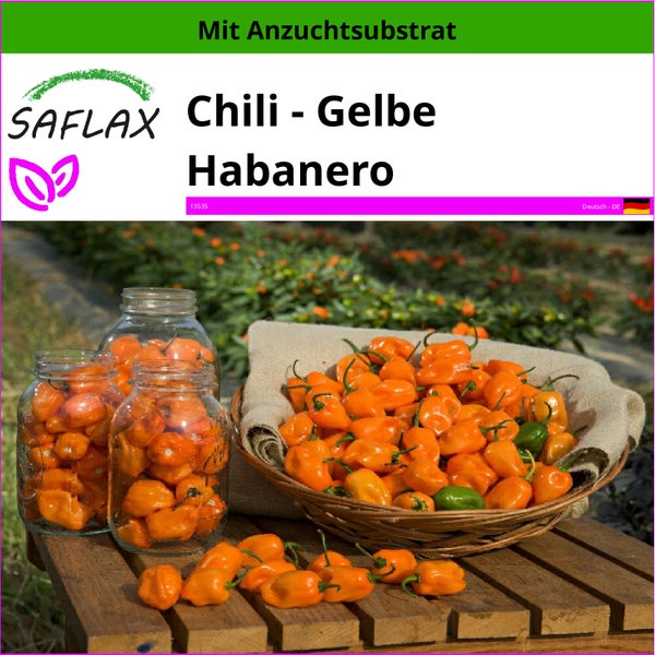 SAFLAX  - Chili - Gelbe Habanero - Capsicum chinense - 10 Samen - Mit keimfreiem Anzuchtsubstrat