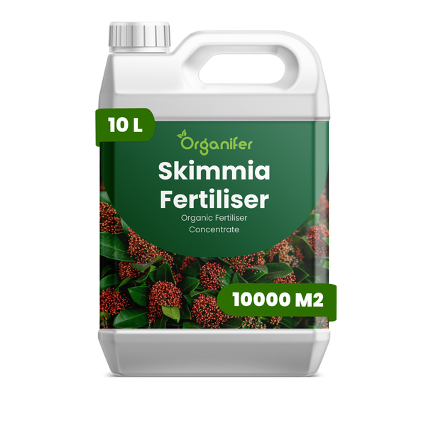 Organifer Skimmia Dünger, organisches Düngerkonzentrat im 10 Liter Kanister für 10000 Quadratmeter.