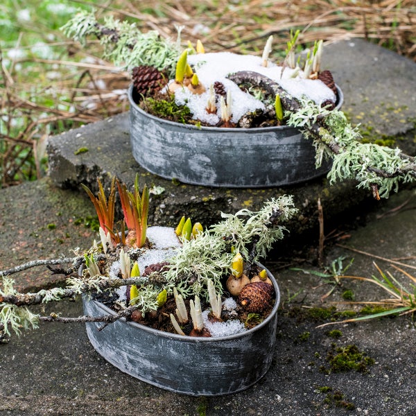 Zwei bepflanzte Zinkwannen mit Frühblühern, Ästen und Schneeresten.