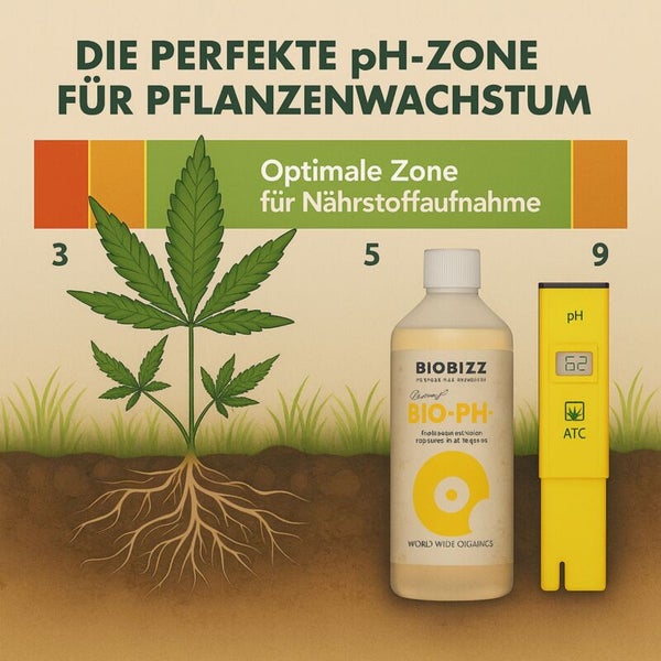 Infografik zur optimalen pH-Zone für Pflanzenwachstum und Nährstoffaufnahme mit Biobizz Bio-PH Flasche und digitalem pH-Messgerät.