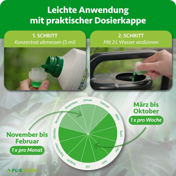Purgrün Flüssigdünger Anwendung: 5 Milliliter Konzentrat mit 2 Liter Wasser verdünnen. März bis Oktober wöchentlich, November bis Februar monatlich.