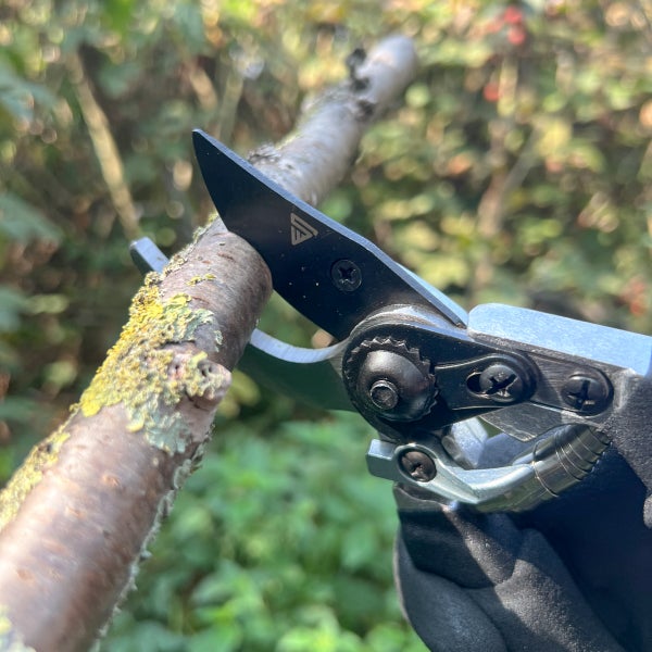 Eine For_q Gartenschere schneidet einen bemoosten Ast. Das Werkzeug hat eine schwarze Klinge, Metallelemente und das For_q Logo.