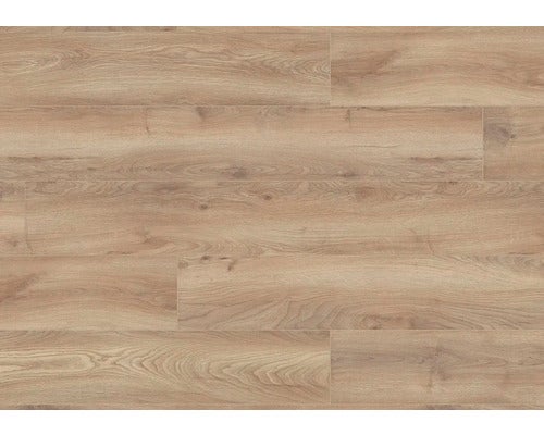 Buntes Sortiment an Pompons für Bastelarbeiten