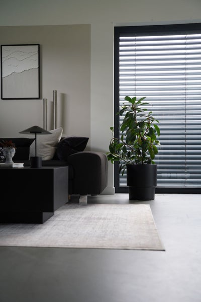 Modernes, helles Wohnzimmer mit dunklem Sofa, schwarzem Couchtisch, hellem Teppich und einer großen Zimmerpflanze im schwarzen Topf vor Jalousien.